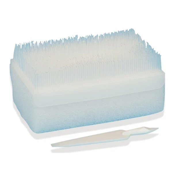 Spazzolino chirurgico CORE-SCRUB alla clorexidina (dispenser da 30 pz.)